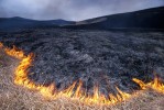 Photograph entitled Burning the Konza Prairie
