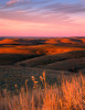 Photograph entitled Dusk glow 