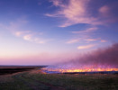 Photograph entitled Prairie burn at dusk 
