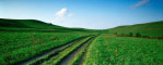 Photograph entitled Flint Hills summer landscape 