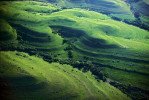 Photograph entitled Green Flint Hills of Kansas in summer