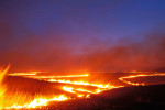 Photograph entitled Lines of burning tallgrass, Kansas Flint Hills
