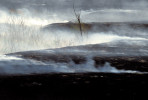 Photograph entitled Lingering smoke, Kansas Flint Hills 
