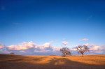 Photograph entitled Blue sky, winter prairie