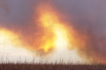 Photograph entitled Approaching smoke obscuring the sun