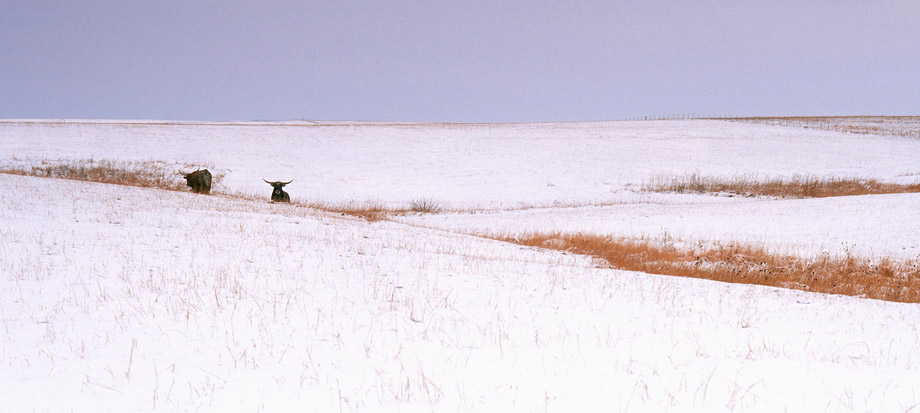 Photograph entitled Winter in the Kansas Flint Hills
