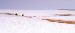 Photograph entitled Winter in the Kansas Flint Hills 