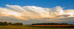 Photograph entitled Summer storm cloud over hayfield 