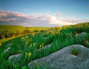Photograph entitled Flint Hills in late spring